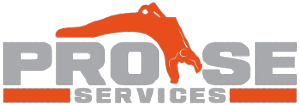 Pro SE Services